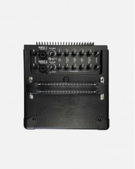 The Bud Acoustic Amp