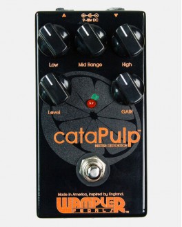 CataPulp